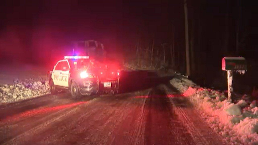 Utility worker killed by falling tree in Connecticut    