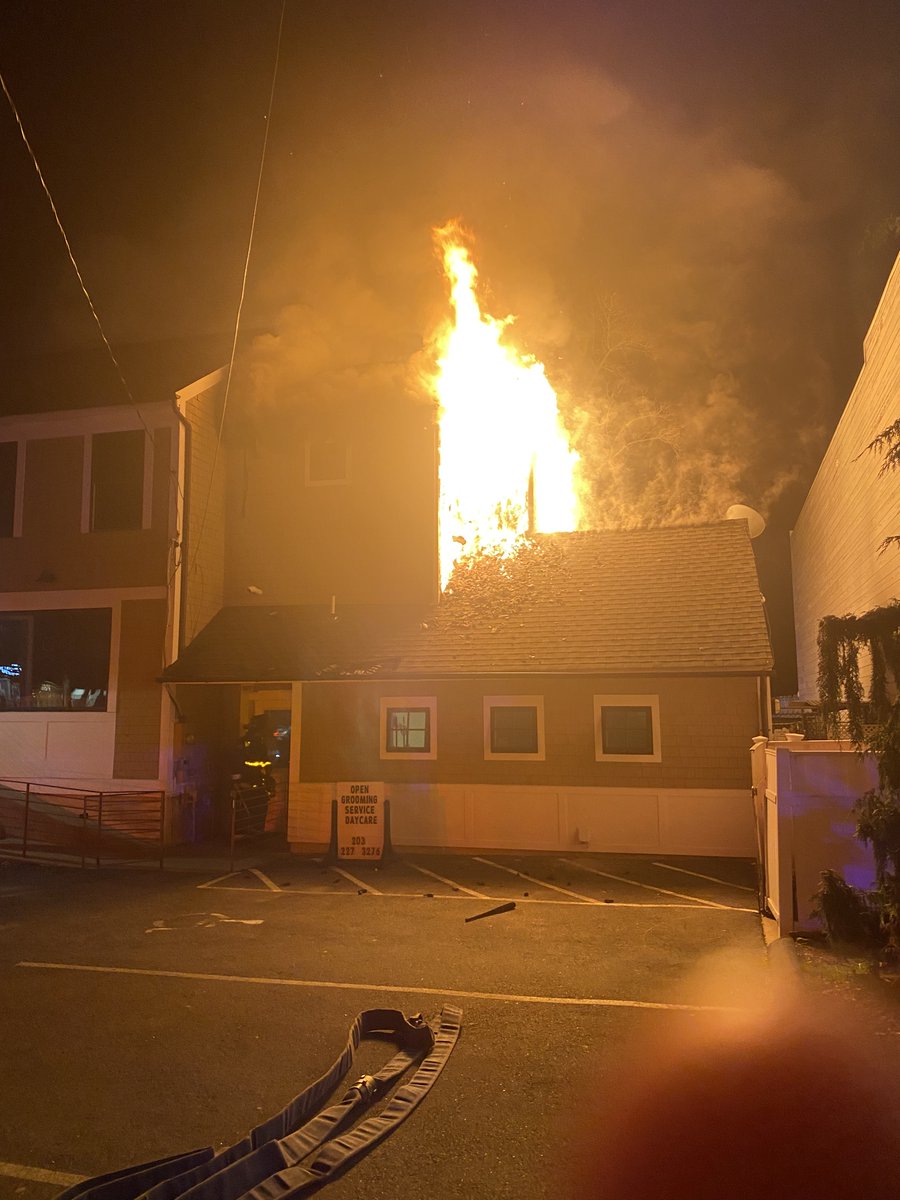 50 dogs and cats had to be rescued from this kennel/apartment building in Westport last night. Firefighters shared several photos from the scene