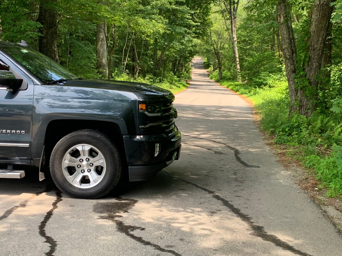 A married couple found dead Wednesday at a wooded Voluntown property were killed in a murder-suicide, Connecticut State Police confirmed Friday